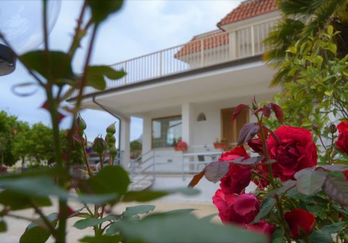 Il B&B Girasole Formia Guesthouse 22 Holiday Formia